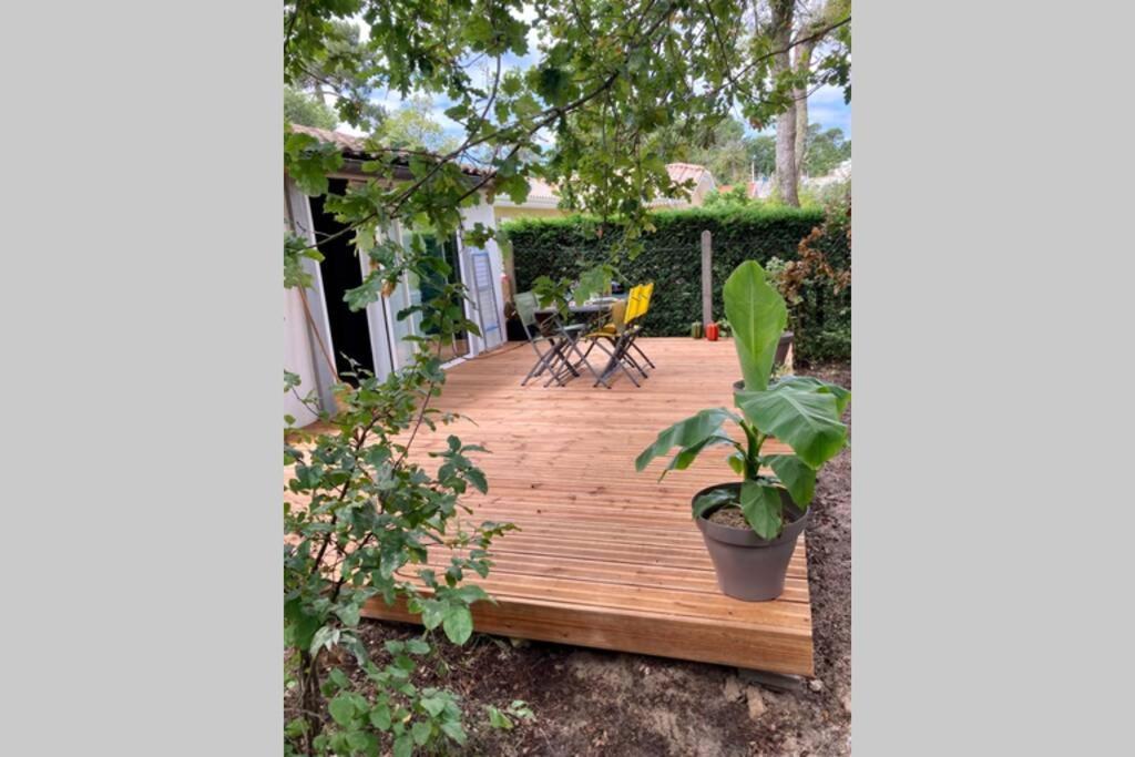 Avec Grande Terrasse Au Pyla * La Teste-de-Buch