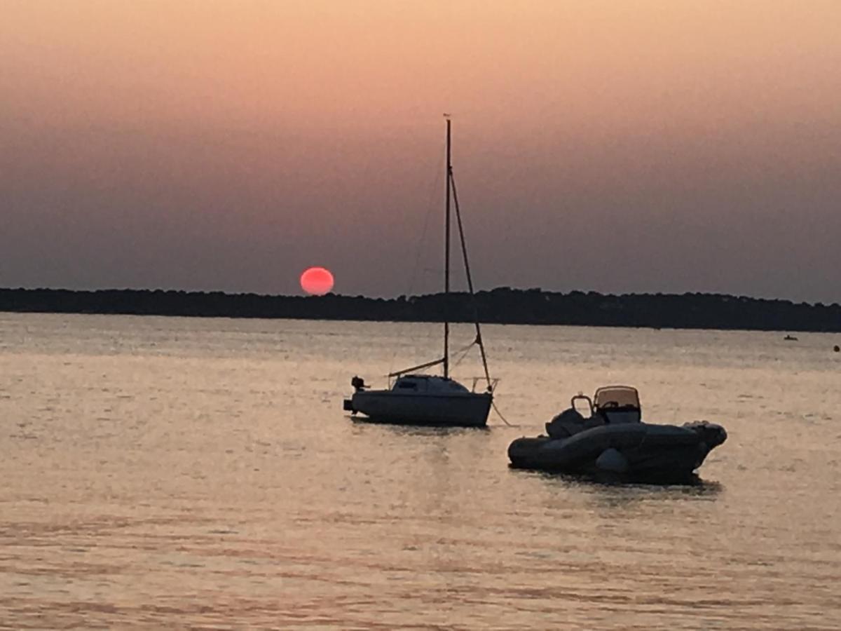Avec Grande Terrasse Au Pyla